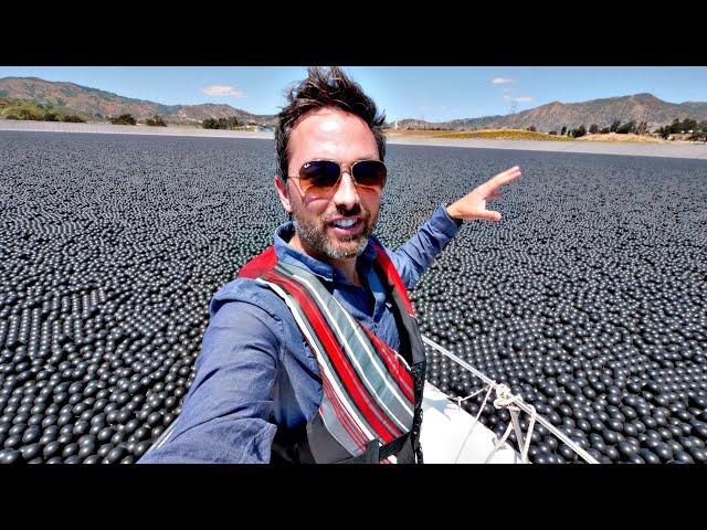 Why Are 96,000,000 Black Balls on This Reservoir?