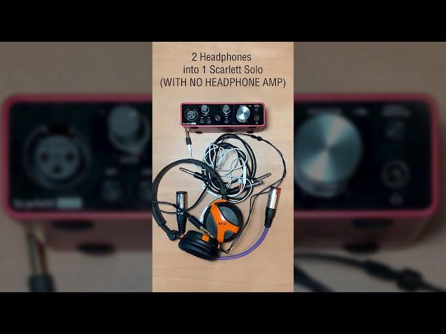 Focusrite Scarlett Solo into 2 headphones (without headphone amp!)