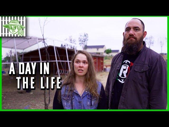 A Day in the Life of Ronda Rousey and Travis Browne