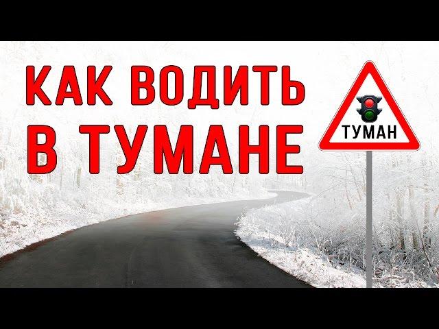 20 советов, вождение автомобиля в тумане