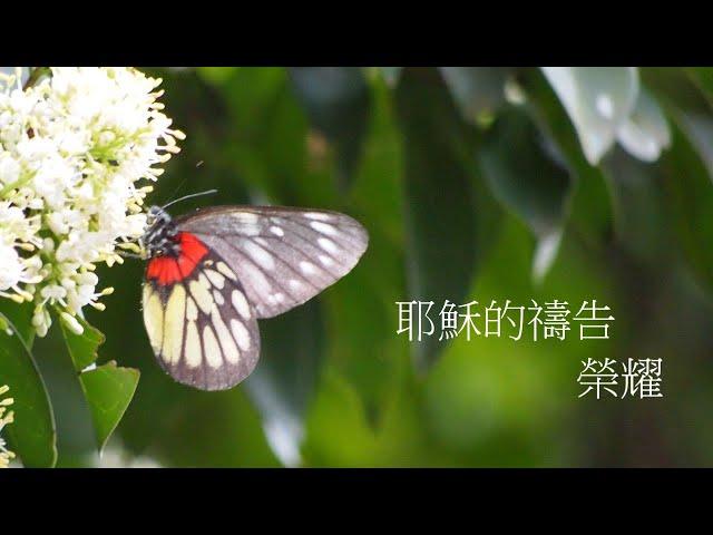 靈修:耶穌的禱告-榮耀 20230504