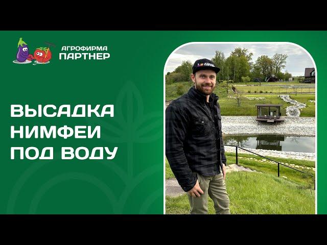 ВСЕ О ВЫРАЩИВАНИИ ВОДНЫХ РАСТЕНИЙ