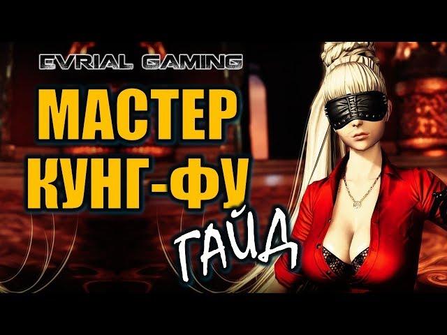 Мастер КУНГ-ФУ Актуальный ГАЙД на КФМ Blade and Soul Kung Fu Master Экипировка Умения Комбо