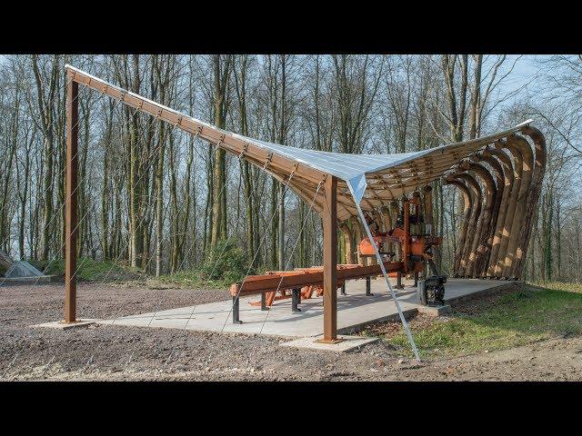 Architectural Association students test the limits of timber in experimental woodland canopy