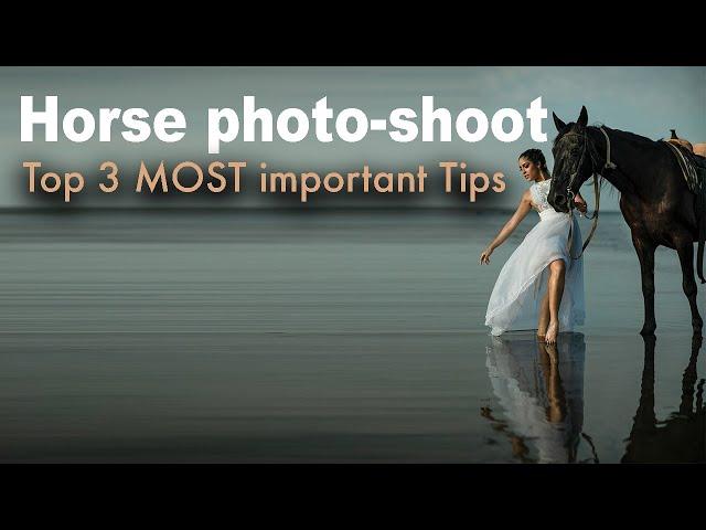 Horse photo-shoot - Top 3 MOST important tips