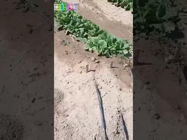 Скандалы, интриги, расследования на канале CSBSVNNQ #новости #юмор #csbsvnnq
