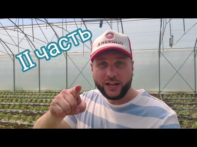 НЕ НАЧИНАЙ ТЕПЛИЧНЫЙ БИЗНЕС БЕЗ ЗНАНИЯ ЭТОГО! #ТепличныйБизнес #АгроБизнес #БизнесСекреты #Теплица