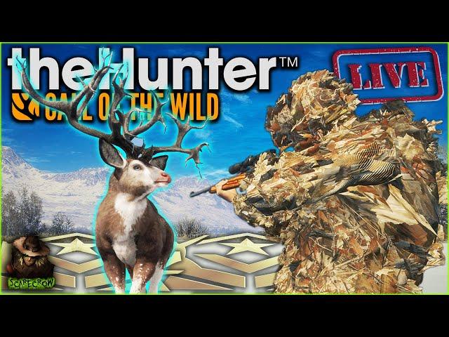 Grinding All Day For The Great One Mule Deer! lets Get This Beast! Call of the wild PART 2
