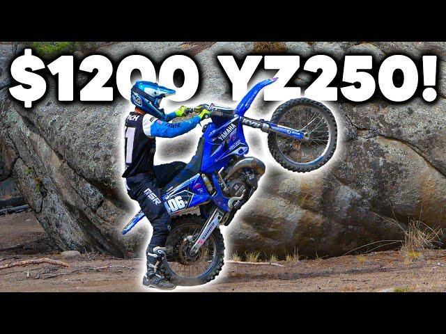 First Ride on the $1200 YZ250 I Brought Back to Life!