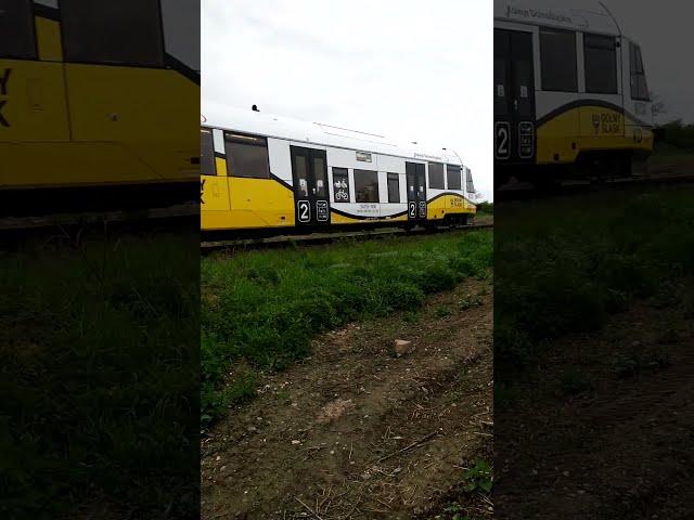 Railbus - KD Koleje Dolnośląskich - SA135-006 Jawor / Starojaworska 2023-05-07 17:38