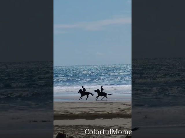 Horse Riding ️