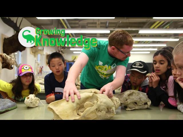 Science Summer Camps 2017 at the University of Alberta