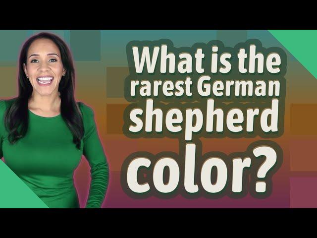 What is the rarest German shepherd color?