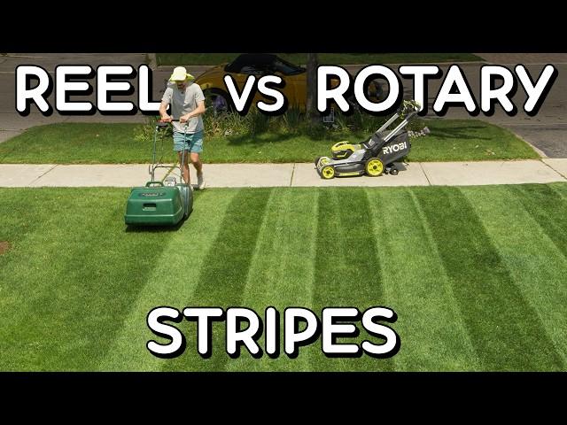 BEST LAWN STRIPES! Rotary vs Reel Mowing Real World Test