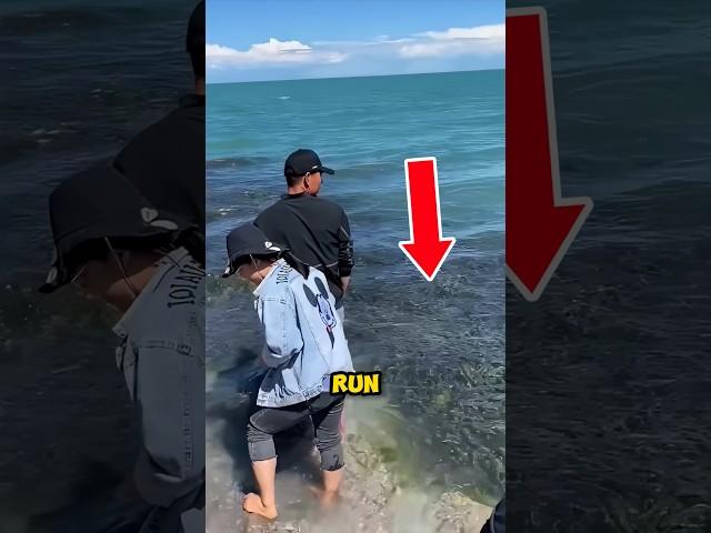 If you See this RUN 