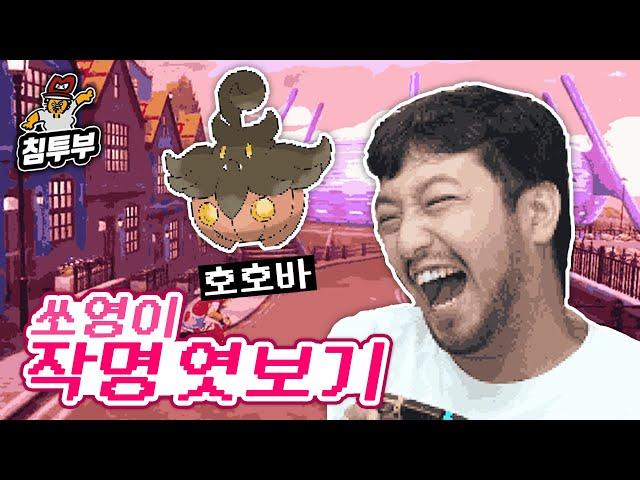 쏘영이가 지은 포켓몬 이름 엿보기