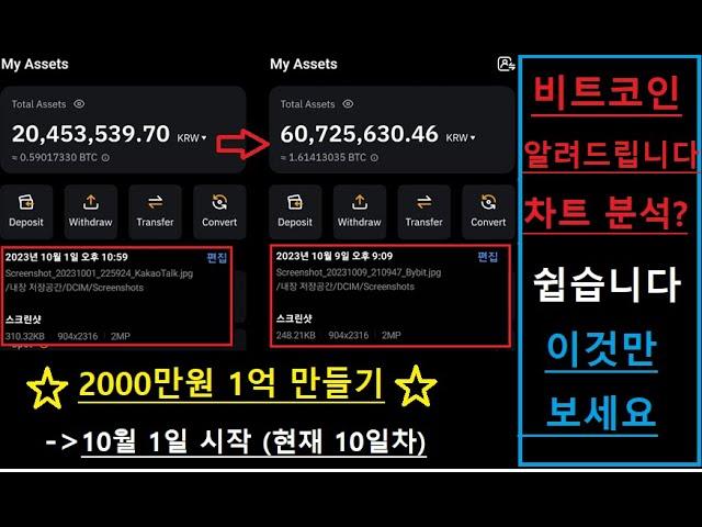 지금 비트코인 차트 쉽습니다. 이것만 보세요 / 2000만원 1억 만들기 매매 공개