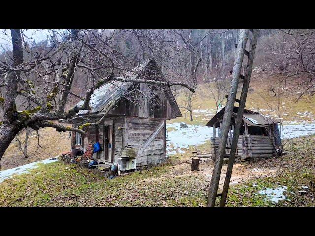 Three Families in Vallecillo: Harsh Life, Sheep, Ancient Houses, and Carpathian Peaks