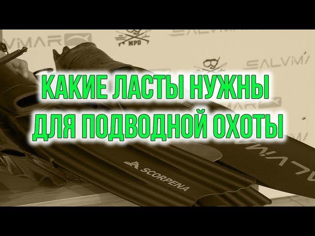 Какие нужны ласты для подводной охоты? Урок для начинающих охотников.