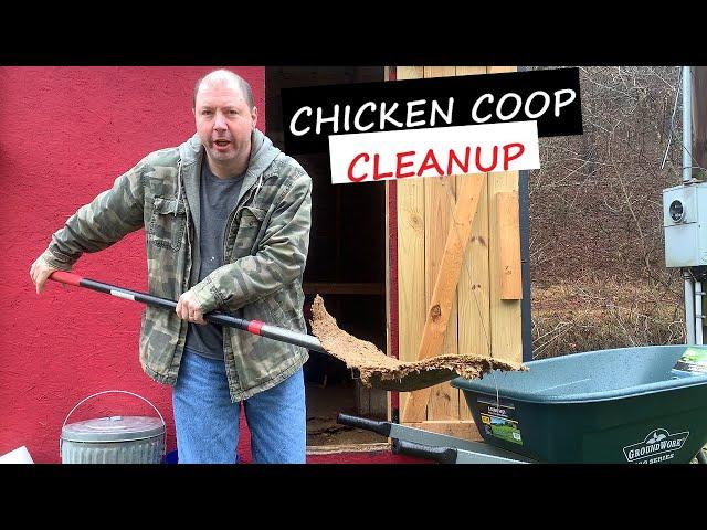 Maintenance of Chickens - Coop and Health Information