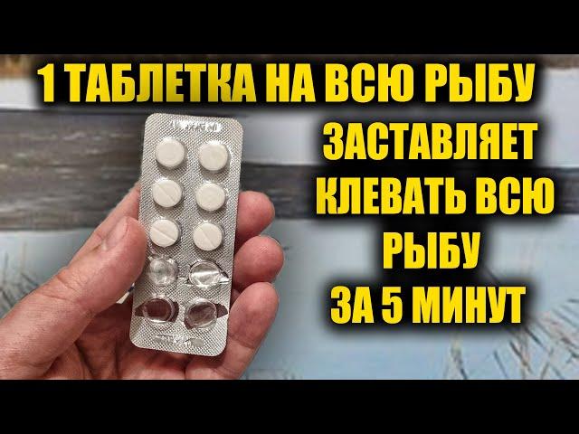 Таблетка для рыбалки которая заставляет всю рыбу клевать. 1 Таблетка на всю рыбу. Название таблетки