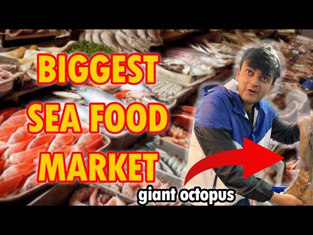 Exploring the wildest Sea Food Market in Delhi