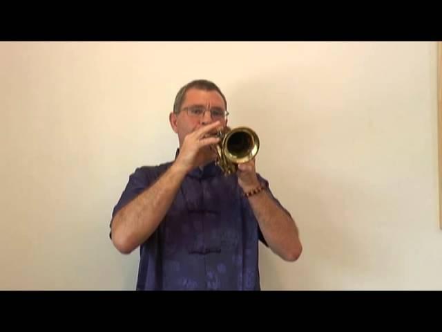 Soul song for Thank you, Love you - Danny Carney Trumpet - by Master Sha