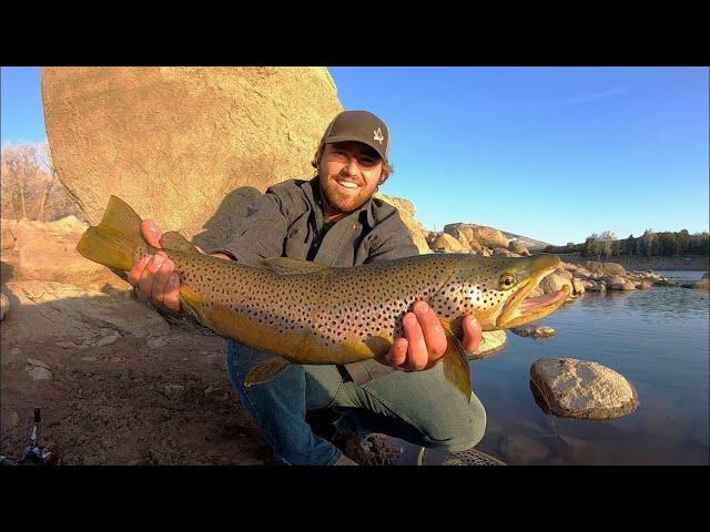 Catching MONSTER Trout at a Mountain Lake!! + Delicious Fish Taco’s