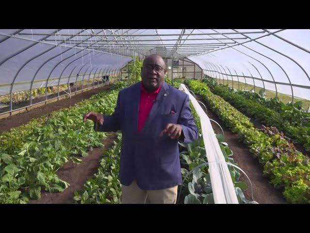 Urban Farming in DC | ECO9