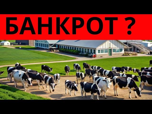 Удой коровы без телят | убыток яловость сервис период осеменение охота