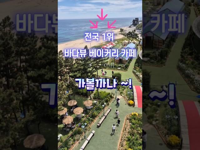 전국1위 속초 바다뷰 베이커리카페 (바다정원 )가볼까요?!푸른바다 힐링되는 정원카페#속초바다뷰카페#고성오션뷰카페추천#속초가볼만한곳#고성바다뷰카페#속초여행