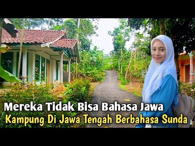 Mereka Berbahasa Sunda‼️ Masyarakat Kampung Di Jawa Tengah ini Tidak Bisa Bahasa Jawa