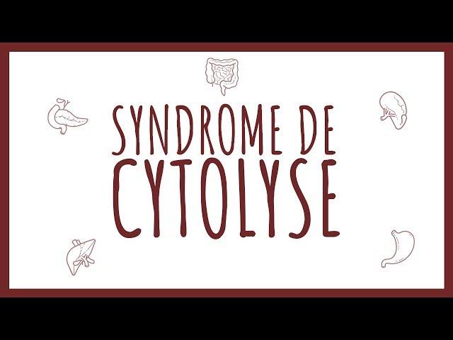 Sémiologie Hépatique - Syndrome de Cytolyse