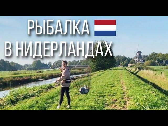 Рыбалка в Нидерландах. Главные правила.