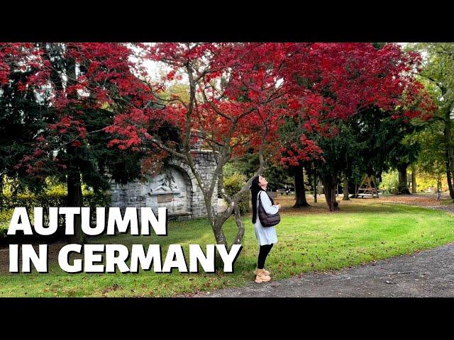 Autumn Season in Germany | Weather in October #eriingermany