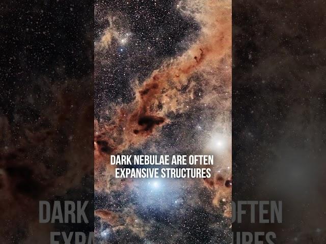 Cosmic Shadows: The Hidden Beauty of Dark Nebulae  #astronomy #shorts