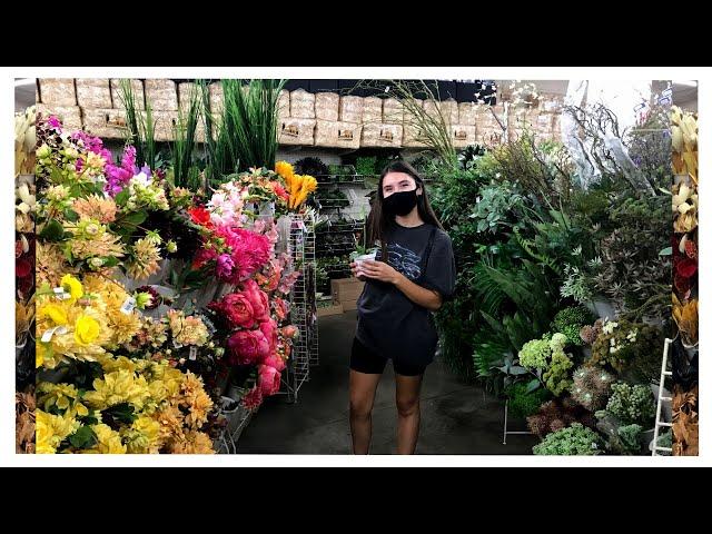 Tour Around An Entire Plant Market