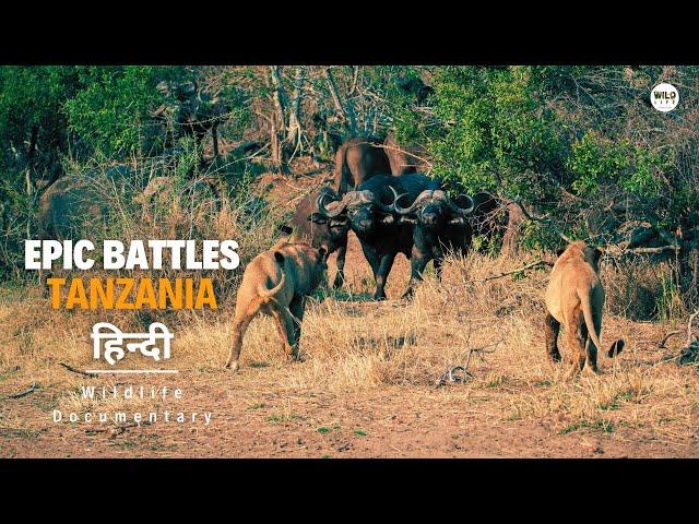 Epic Battles, तंजानिया [2023] हिन्दी डॉक्यूमेंट्री | Wildlife documentary in Hindi