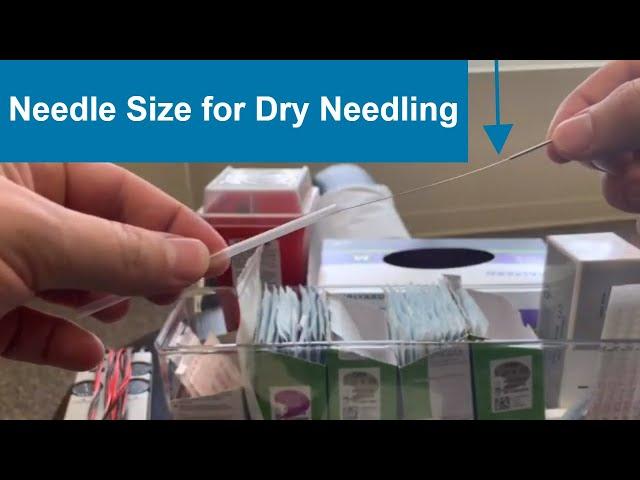 Needle Size for Dry Needling | See How Big the Needles Are!