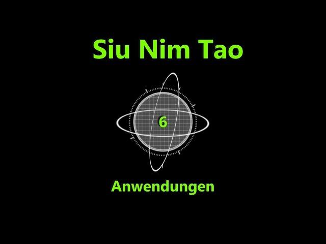 Wing Chun BASICS 1.6: Siu Nim Tao Satz 6. Streuende Hände