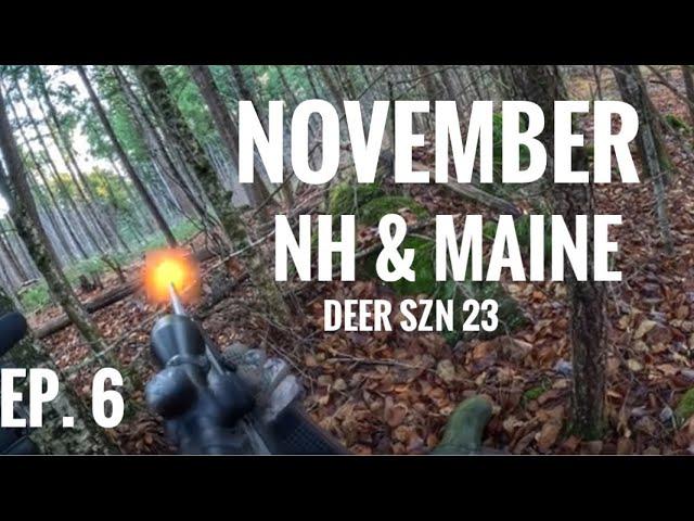 Deer Hunting SUCCESS in NH and Maine! Early November