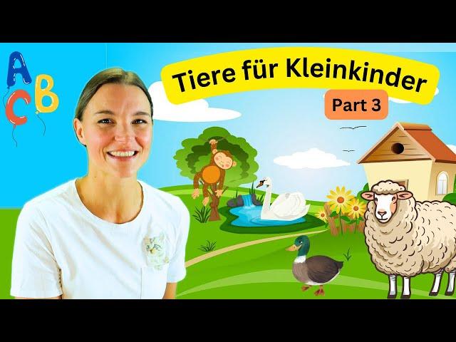 Tiere für Kleinkinder - Part 3 | Tiere für Kinder | Lernen für Kleine mit Miss Josi