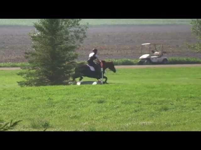 Katie Clapp & Wonder Girl - Cross-Country - Roebke's Run HT 2011