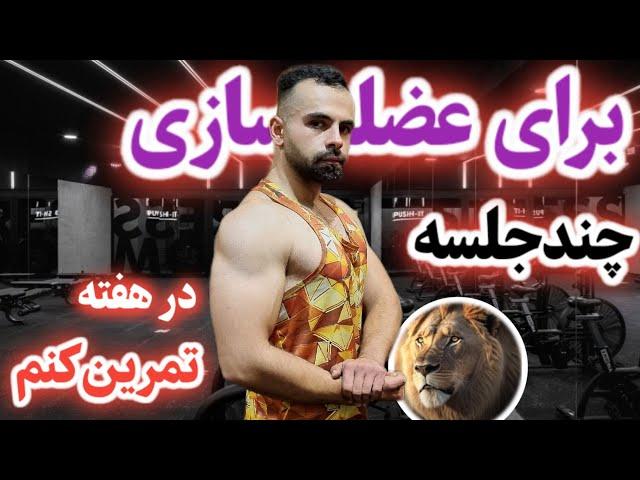 چند جلسه در هفته تمرین کنم تا عضله بسازم؟ با توجه به سابقه تمرین و شرایط زندگی #بدنسازی #عضله_سازی