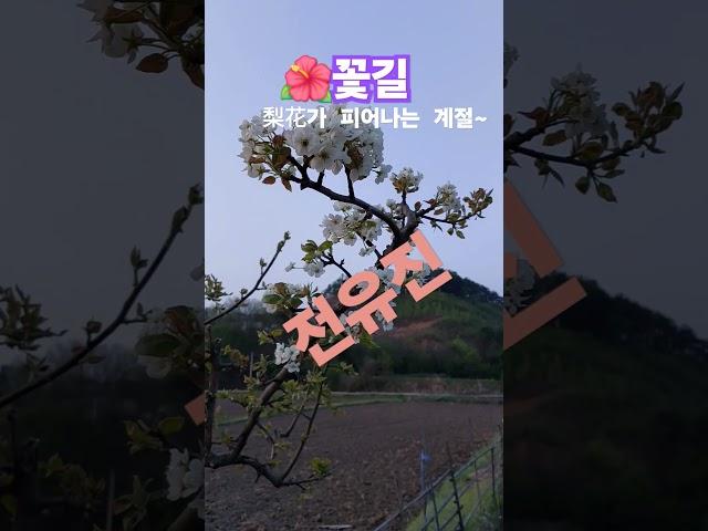 #꽃길 #전유진