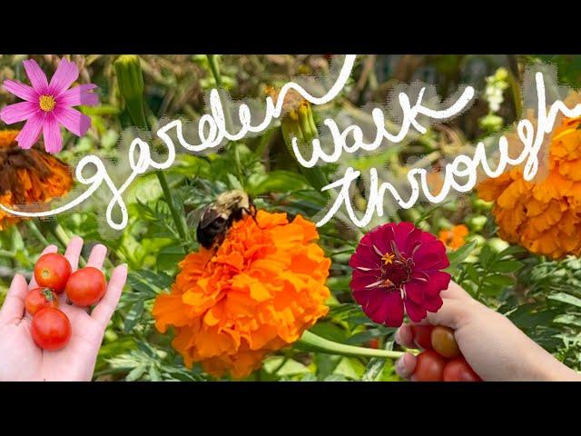 END OF SUMMER GARDEN WALK THROUGH NO MUSIC JUST NATURE ZONE 6B ‍🫛🫑️