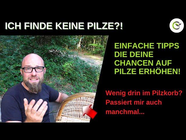 Ich finde einfach keine Pilze oder nur sehr wenige Pilzarten? Kurze Tipps für mehr Sammlererfolg!
