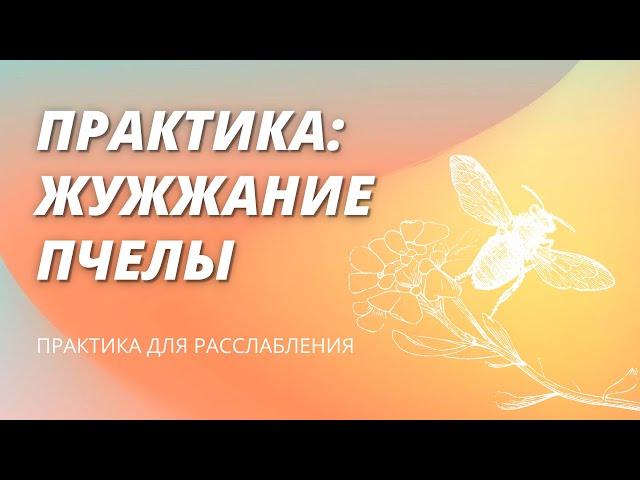 Жужжание пчелы | практика «брамари» для расслабления