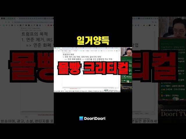 일거양득 / 몰빵 크리티컬 #시바이누 #XRP #리플 #비트코인 #스텔라 #에이다 #트론