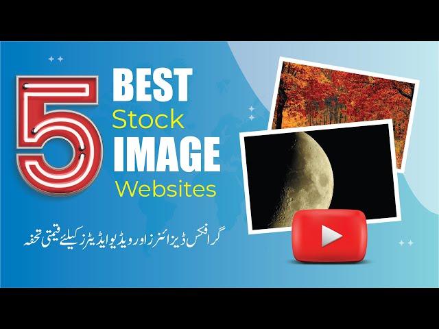 The 5 Best Stock Image Websites in 2023 